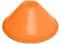 6" Disc Cone