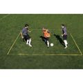 Training Grid System
