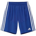 Campeon 13  Short: YOUTH